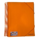 PORTE VUES SPIRAL NEON 120P 240V REF CR-412 CRISTAL 