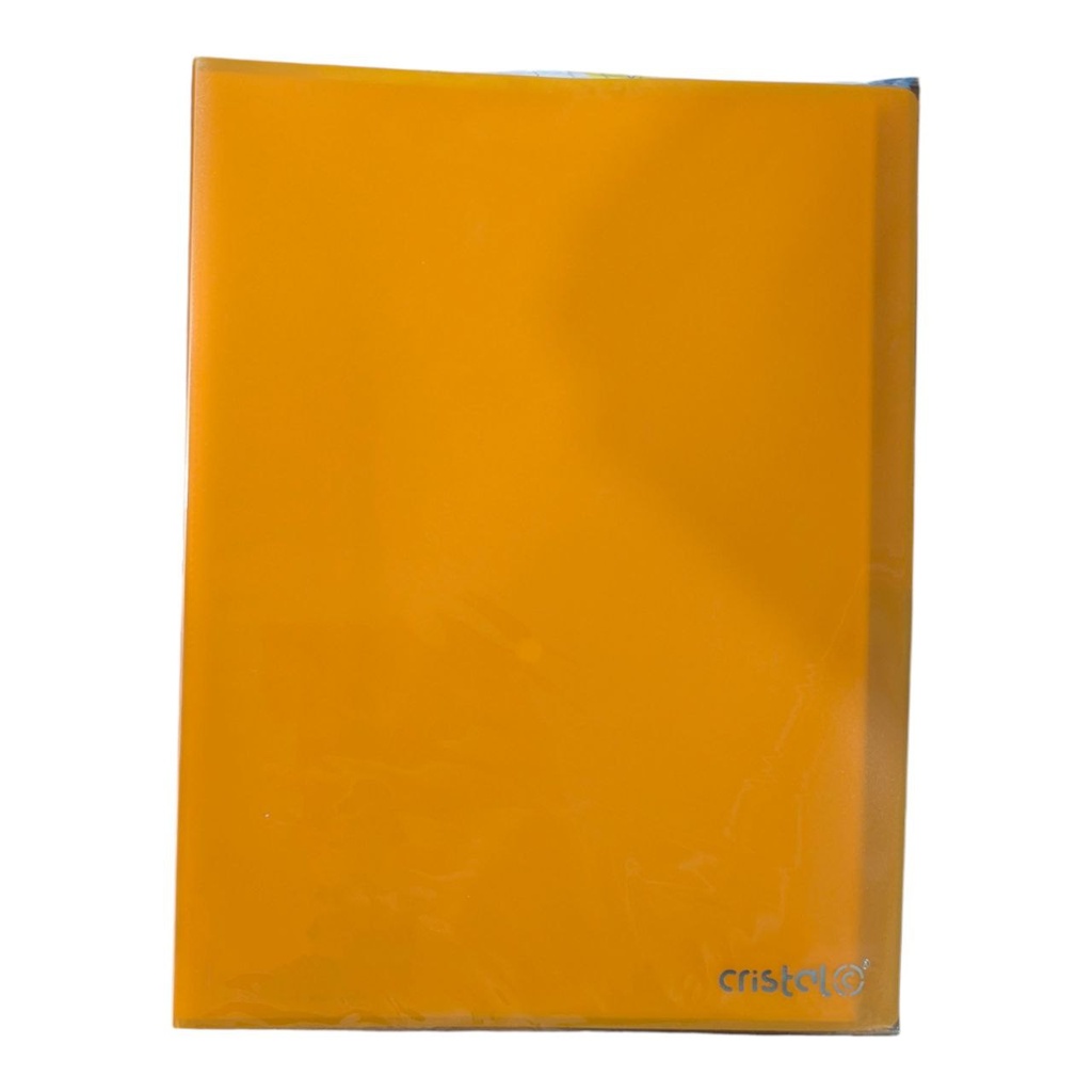 PORTE VUES SOUPLE  60P 120V REF CR-306 CRISTAL 