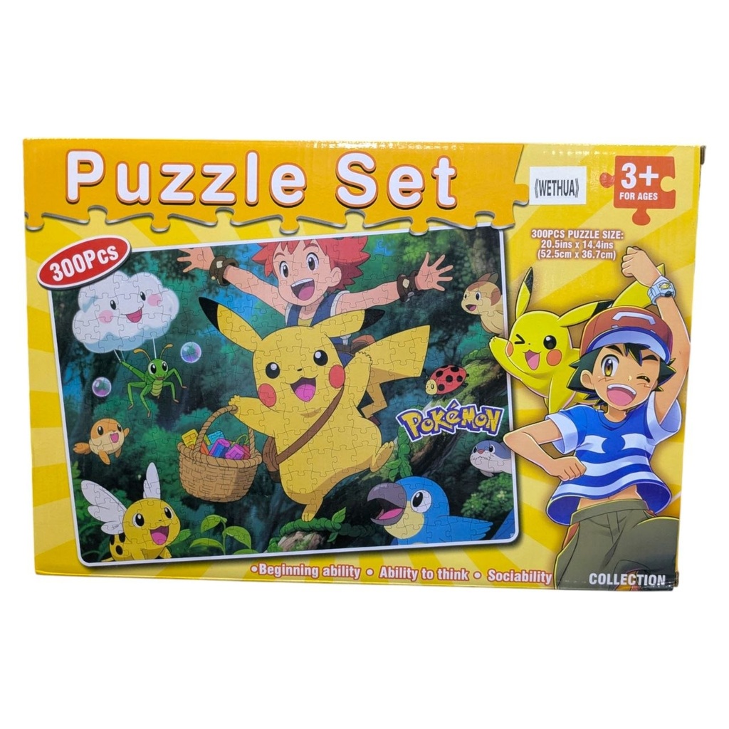 PUZZLE SET 300PCS 