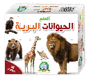 علبة بطاقات تعليمية مختلفة