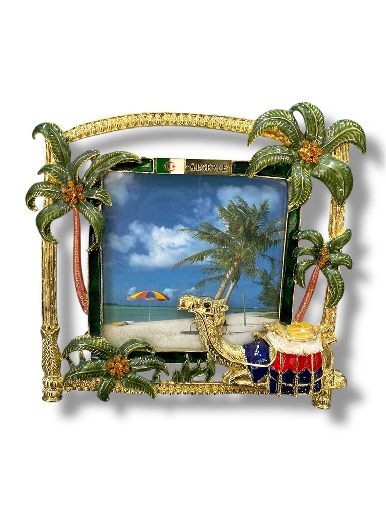 CADRE DECORATION SOUVENIR ALGERIE REF 153/165