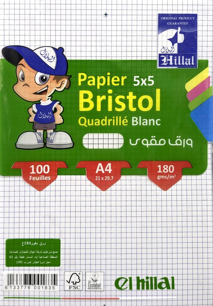 PAPIER BRISTOL QUADRILLE A4 100F 180G HILLAL