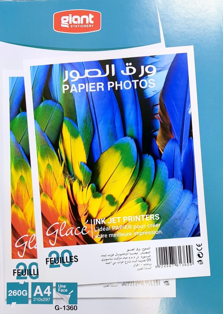 PAPIER PHOTO A4 260G 20F REF 1360 GIANT