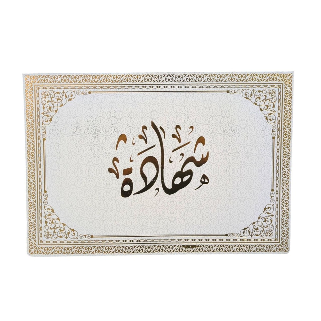 PORTE DIPLOME VIERGE EN CARTON