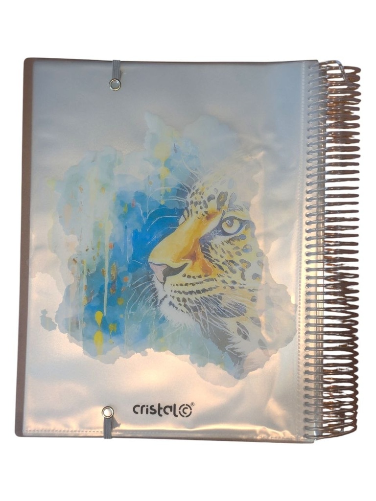 PORTE VUES SPIRAL FANTAISIE 20P 40V CR-702 CRISTAL