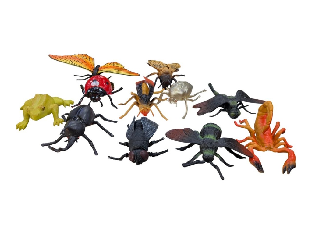 ANIMALS INSECTS