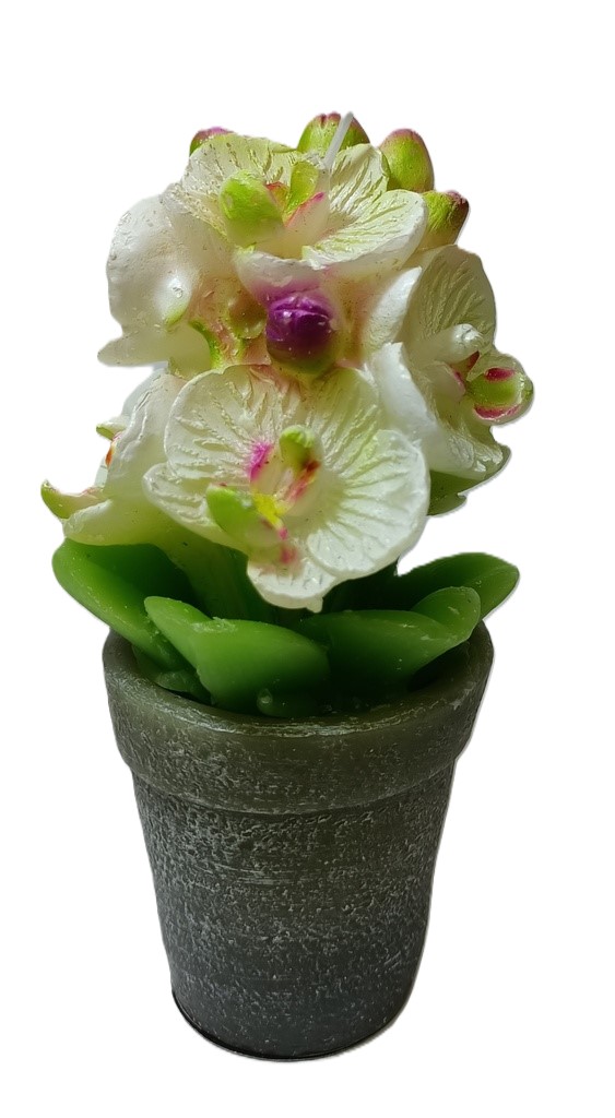 BOUGIE POT ORCHIDEE