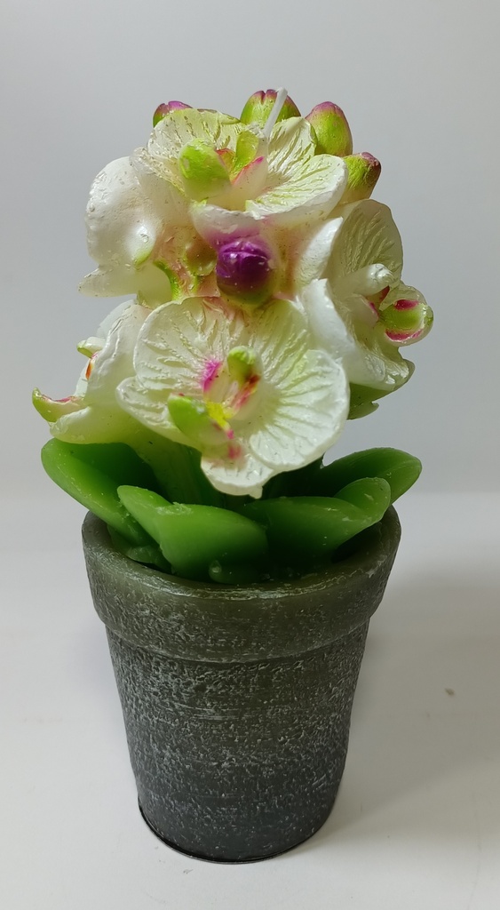 BOUGIE POT ORCHIDEE