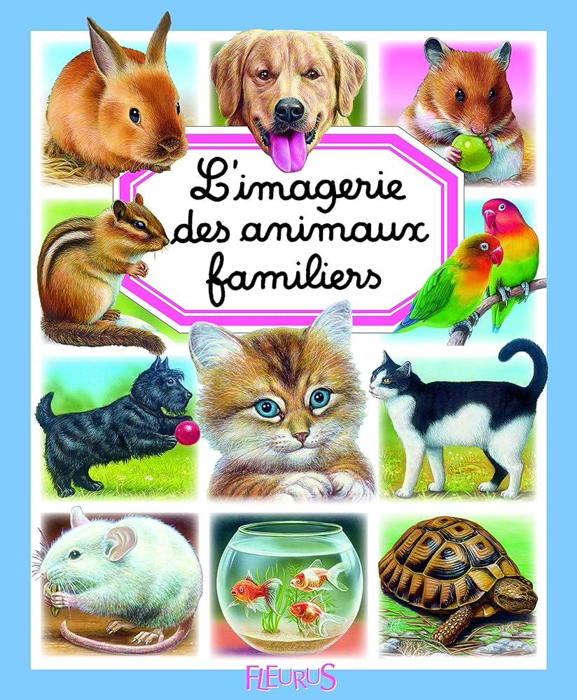 L IMAGERIE DES ANIMAUX FAMILIERS