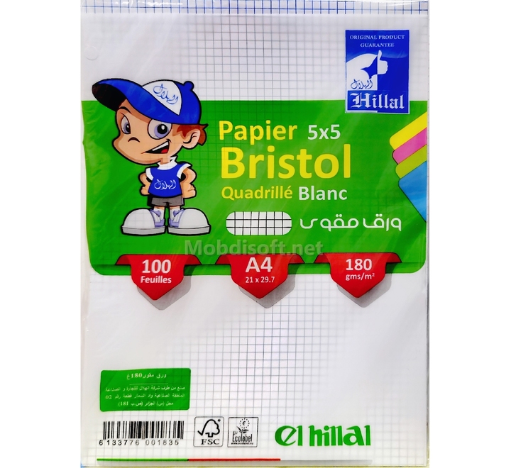 PAPIER BRISTOL QUADRILLE A4 100F