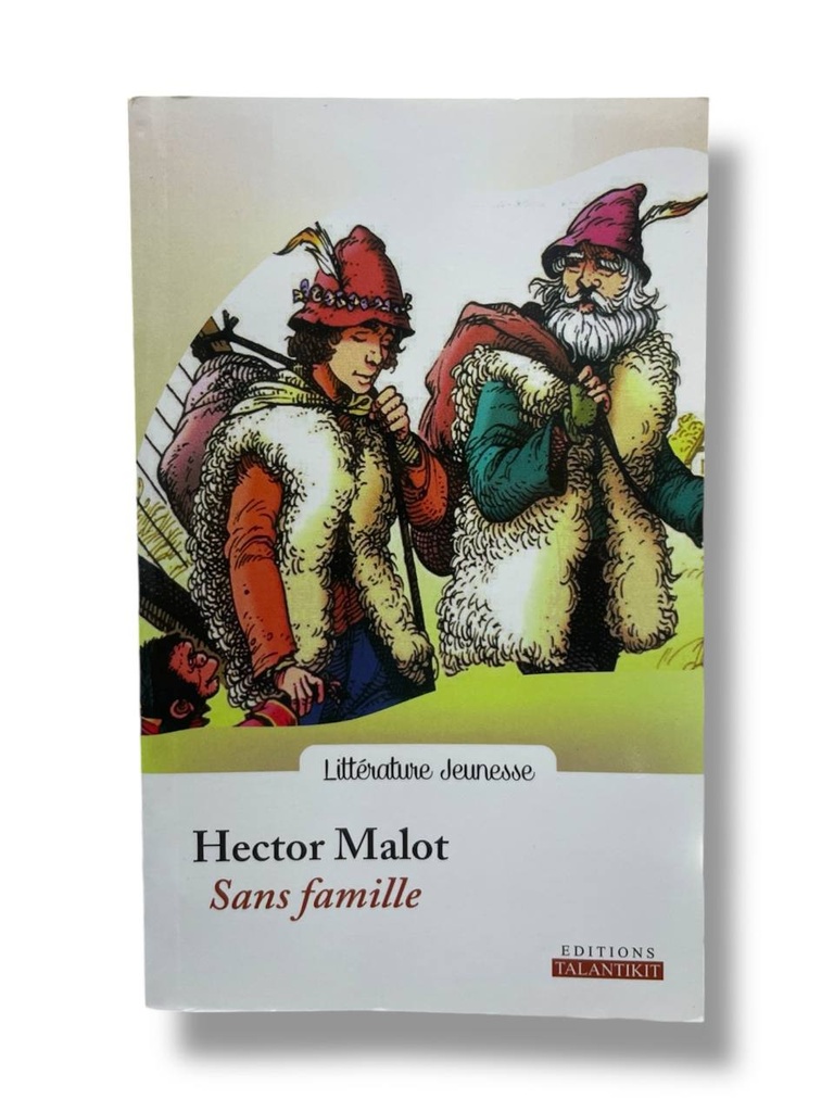 SANS FAMILLE HECTOR MALOT