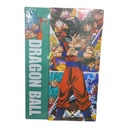 CARNET FANTAISIE LUX HEROS