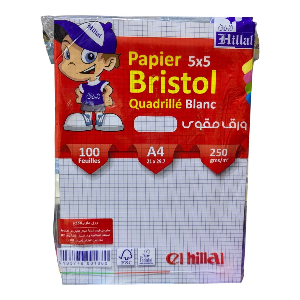 PAPIER BRISTOL QUADRILLE 100F 250G A4 HILLAL