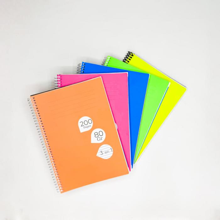 REGISTRE 3EN1 17*24 200 PAGES 18026 CLASVIT