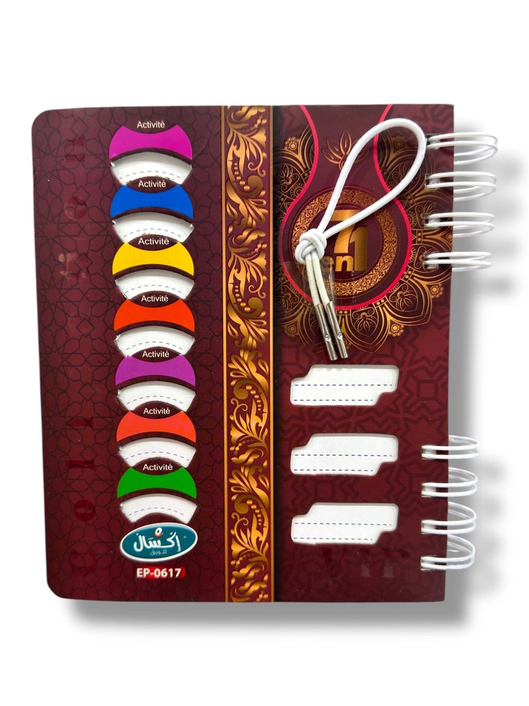 REGISTRE 7EN1 A6 PF 0617 EXCELLES