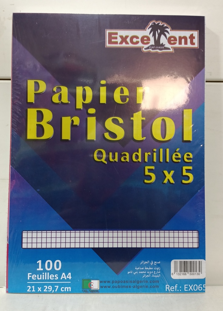 PAPIER BRISTOL QUADRILLE A4 100F