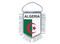 [MS009519] MINI DRAPEAU ALGERIE ET PALESTINE