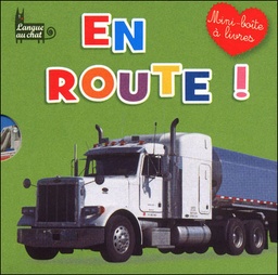 [MS010040] MIN BOITE A LIVRES EN ROUTE