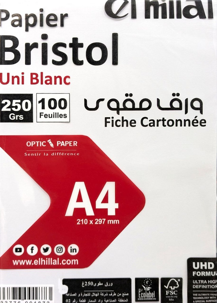 PAPIER BRISTOL UNI A4 250G 100F HILLAL