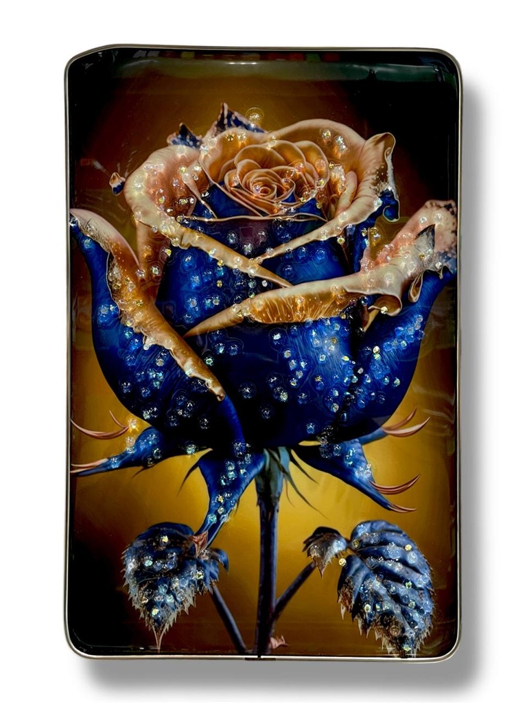 CADRE DECORATION REF 2898-3/95