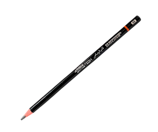 CRAYON TECHNIQUE NOIR 8B REF 5318 