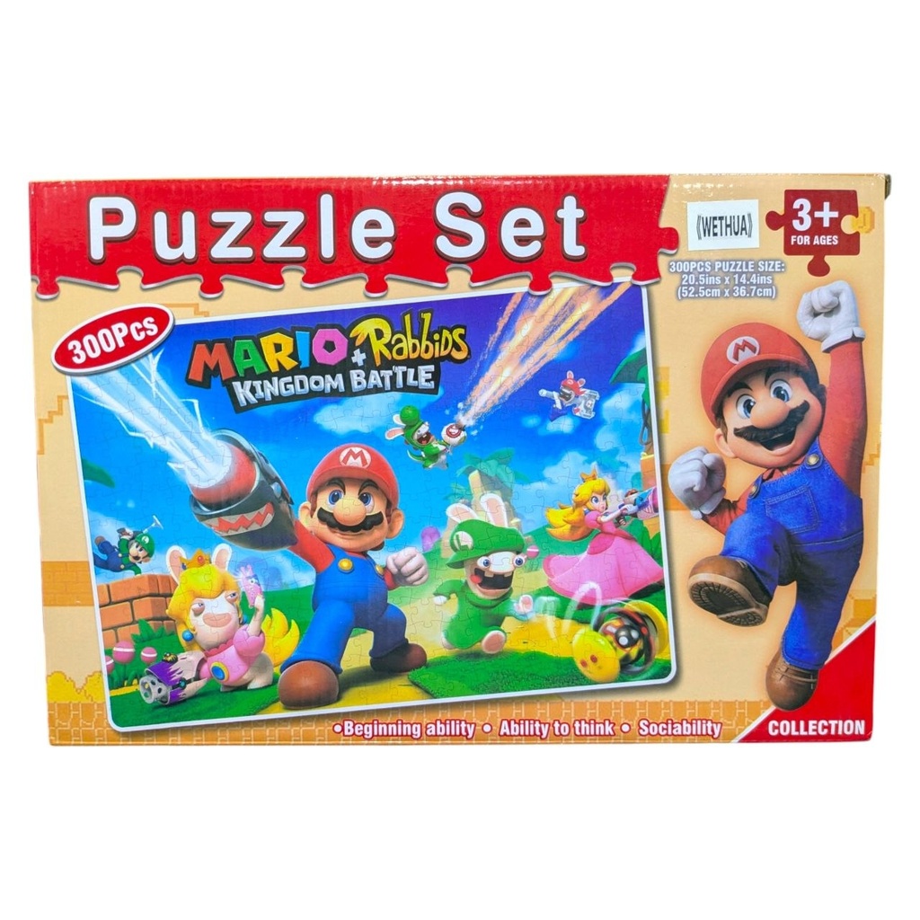 PUZZLE SET 300PCS 
