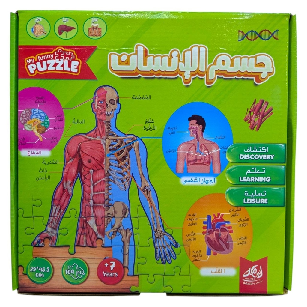 PUZZLE 104 PCS NAMES OF ORGANS 