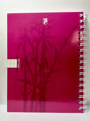 CAHIER SPIRAL 288 PAGES PF ITAL